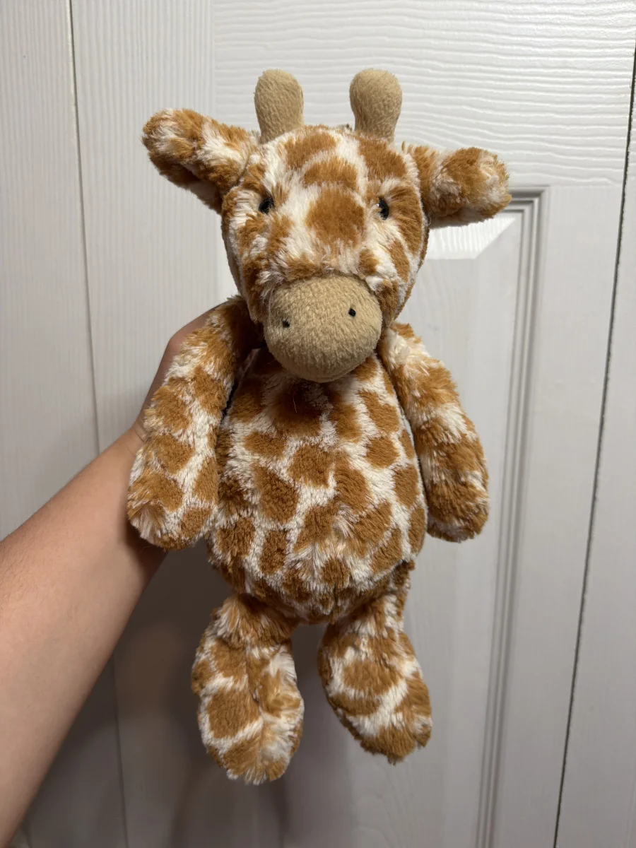 Front - Bashful Giraffe - Medium photo by Anadina’sJellies