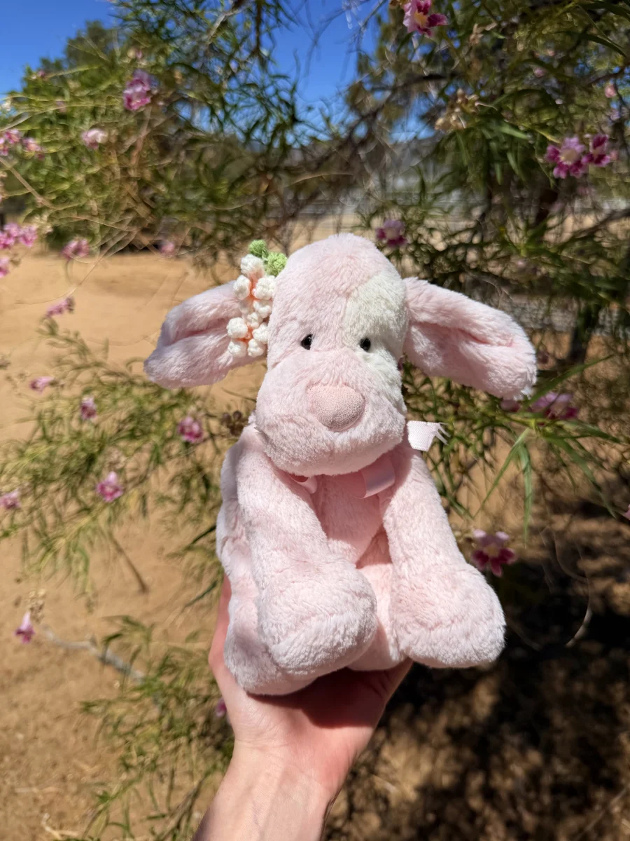 Front - Patches Puppy Pink - Medium photo by jellycatangel