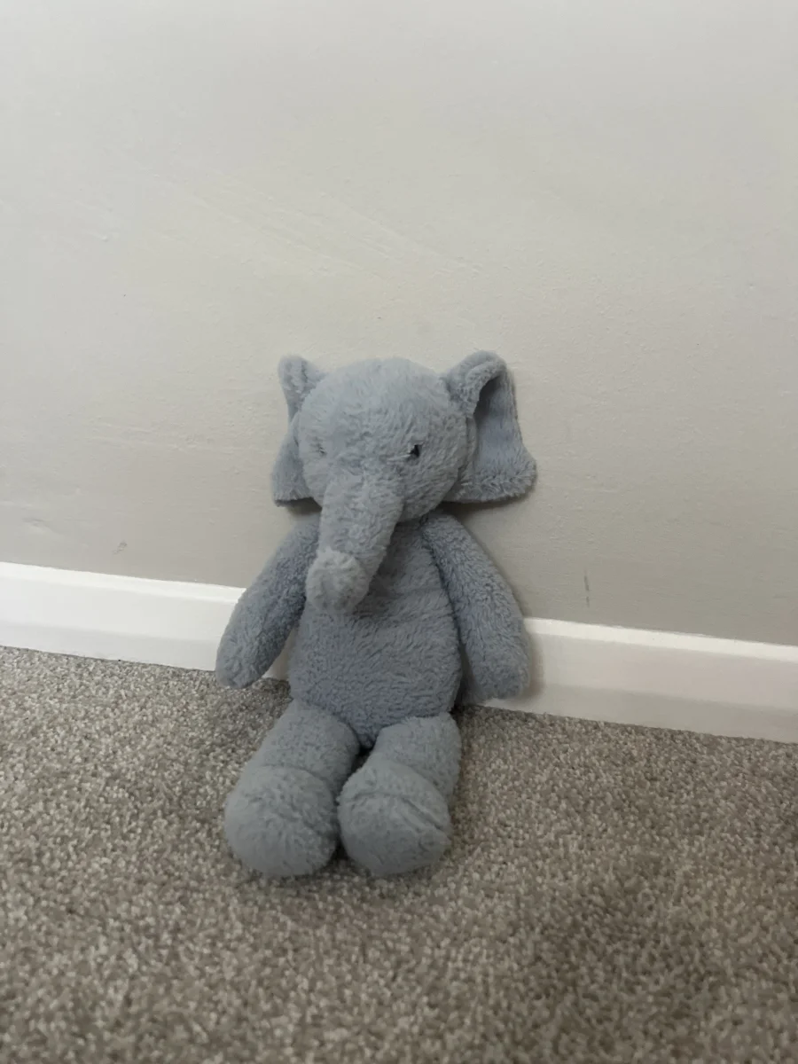 Front - Nugget Elephant photo by Isla’s jellycats Xx