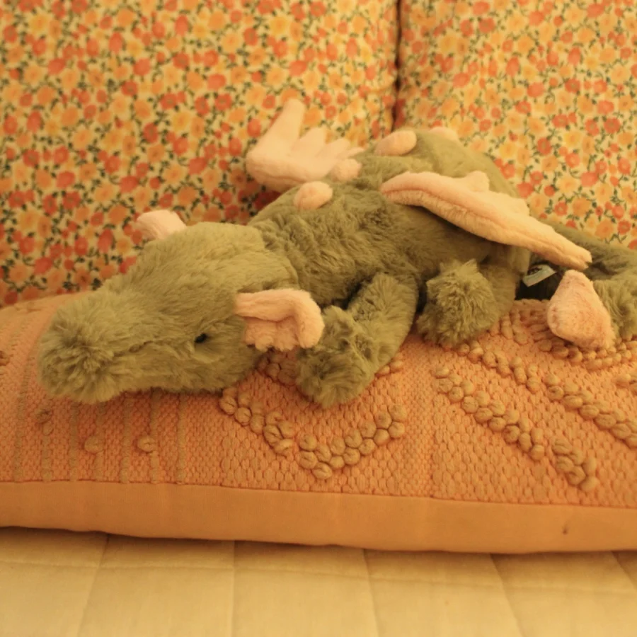 Front - Malachy Dragon photo by giannamariap