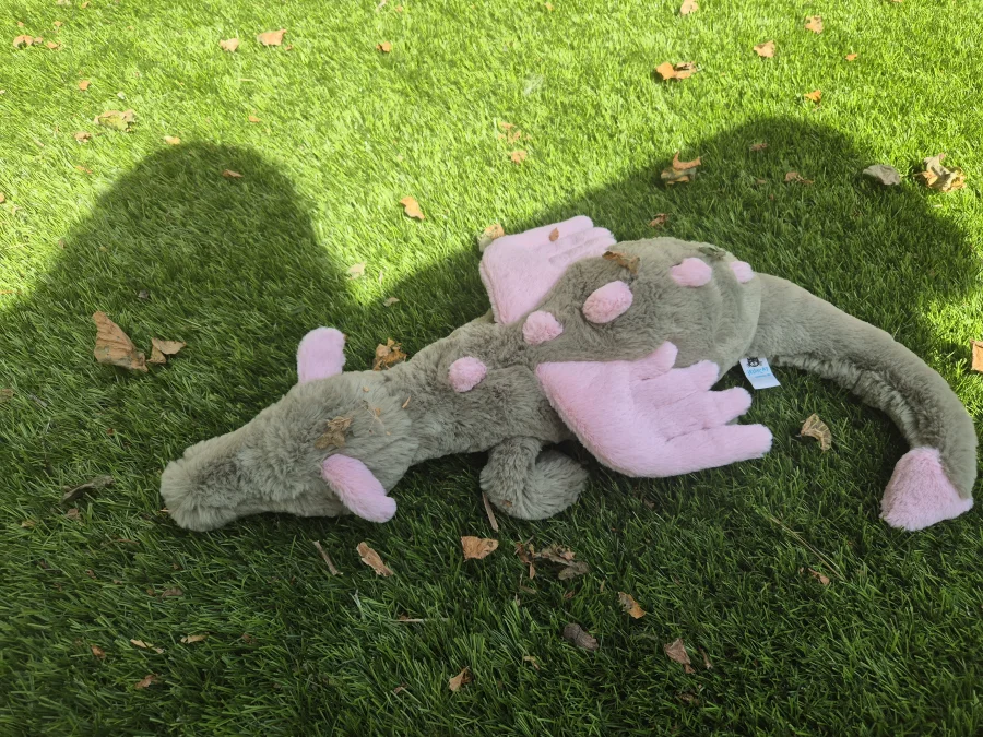 Side - Malachy Dragon photo by AimeeMunch