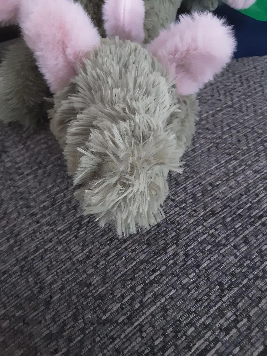 Front - Malachy Dragon photo by Jelly_c@t