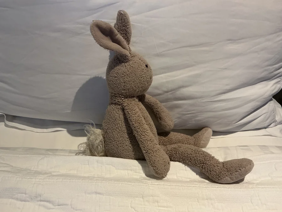 Side - Slackajack Bunny - Medium photo by Mbunny7712