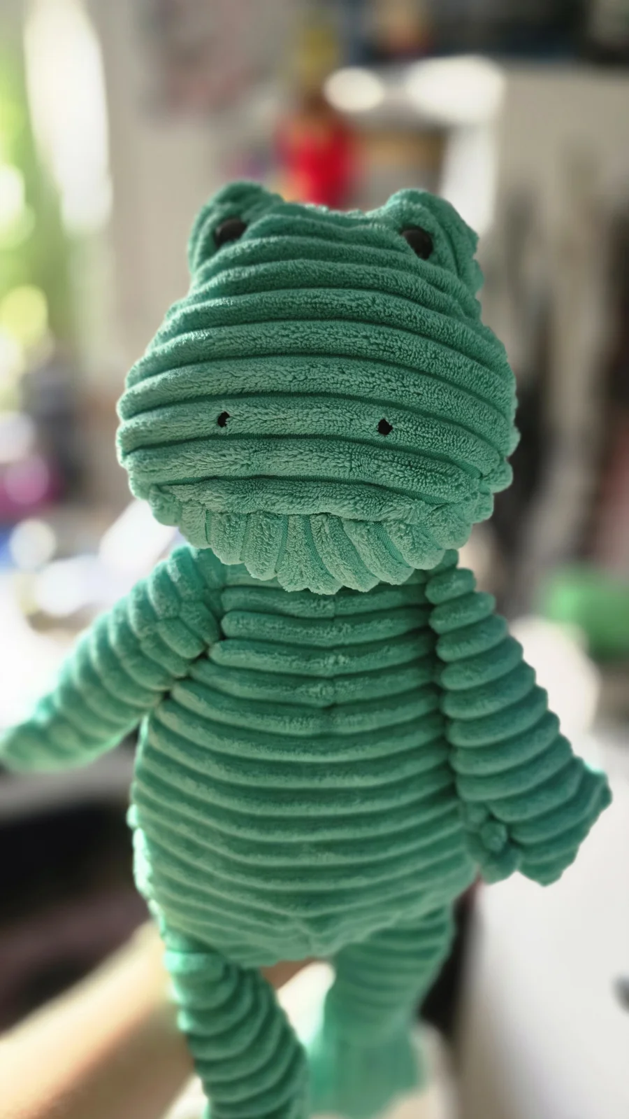 Front - Cordy Roy Frog - Medium photo by LeooTheFrog