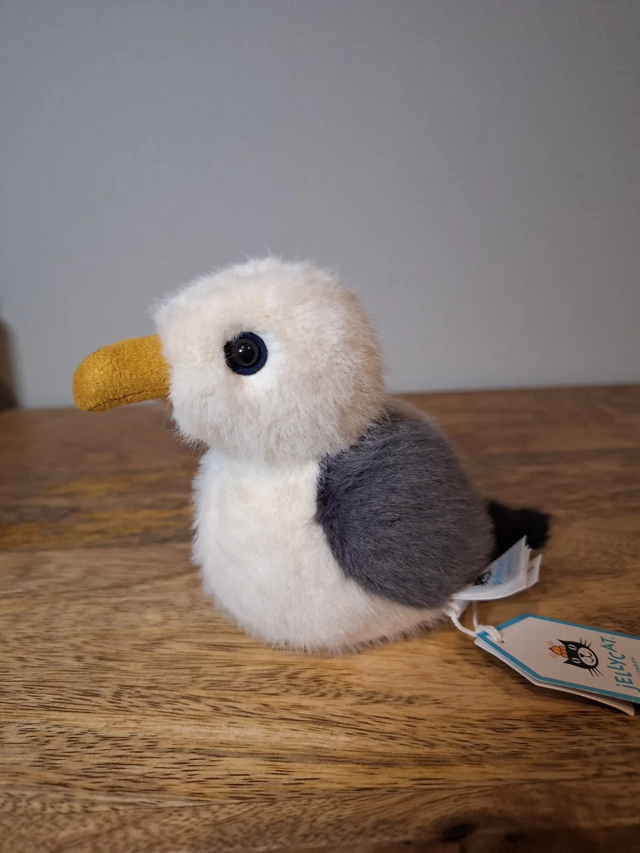 Front - Birdling Seagull photo by Sofie