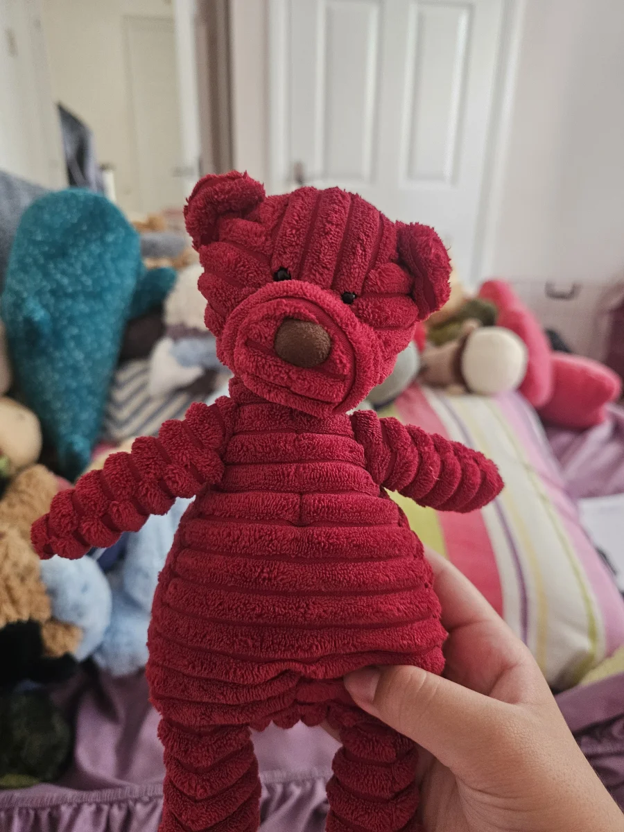 Front - Cordy Roy Bear Red - Small photo by lynlyn28461