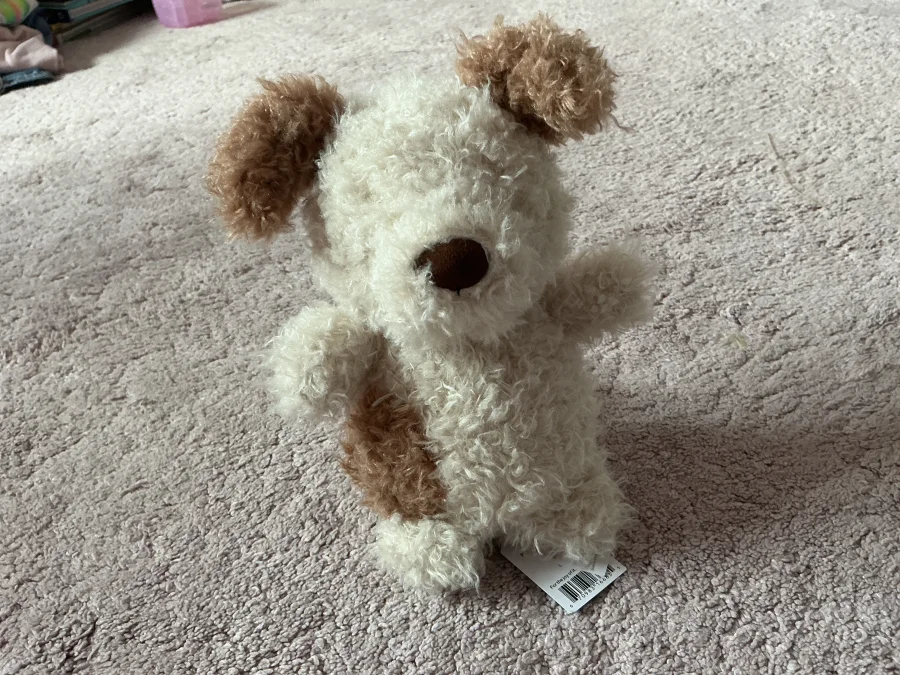Front - Little Pup photo by Asdqueen5678
