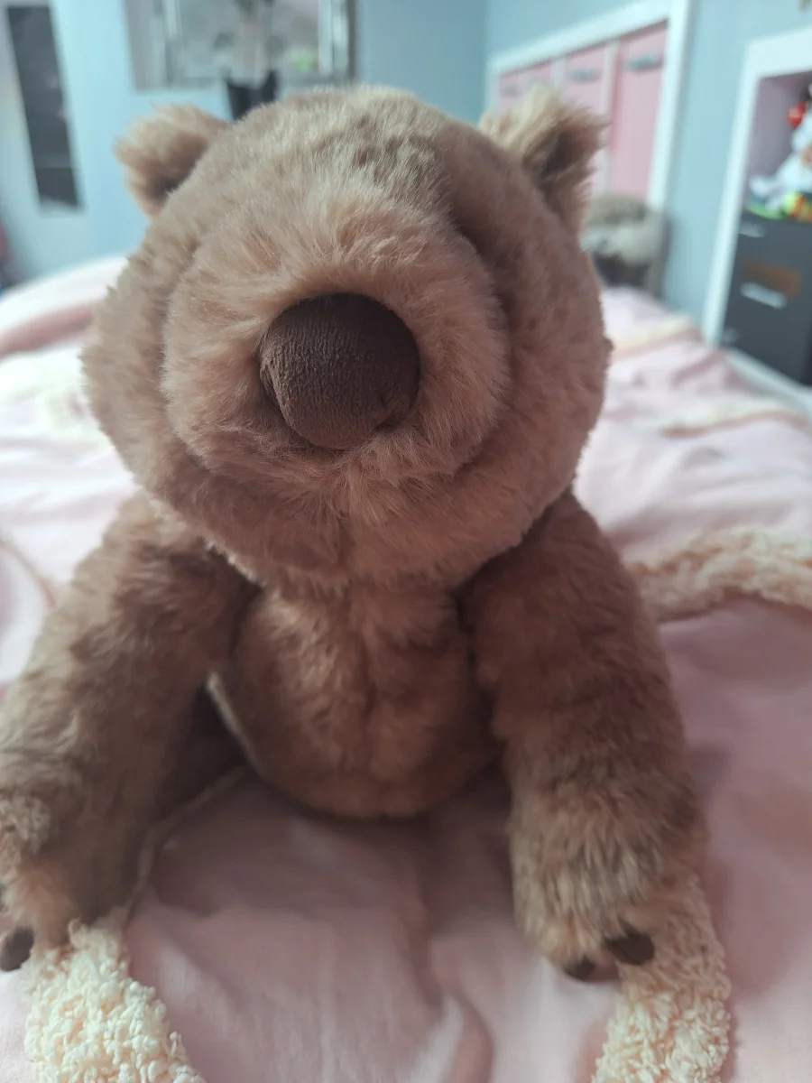 Front - Wonda Wombat photo by Scarlet