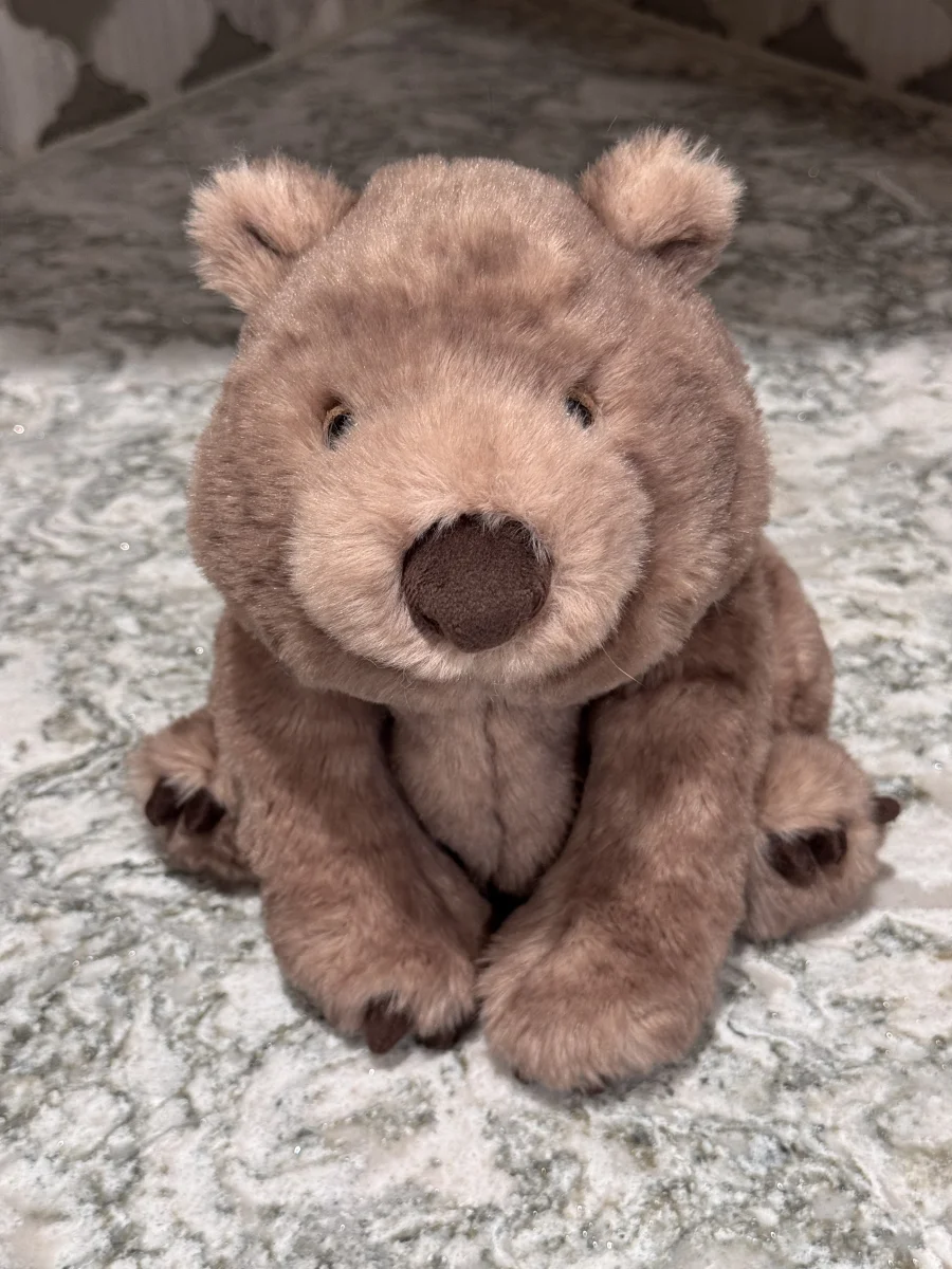 Front - Wonda Wombat photo by SnowLeopard821