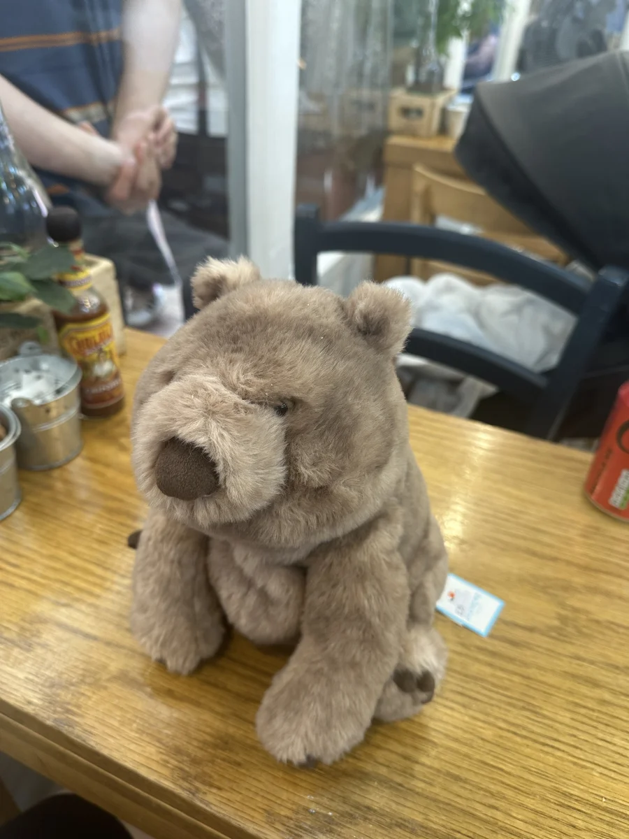 Side - Wonda Wombat photo by Mads_