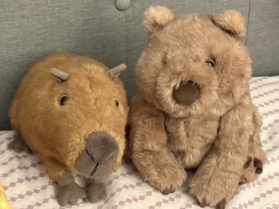 Front - Wonda Wombat photo by PawJelloet