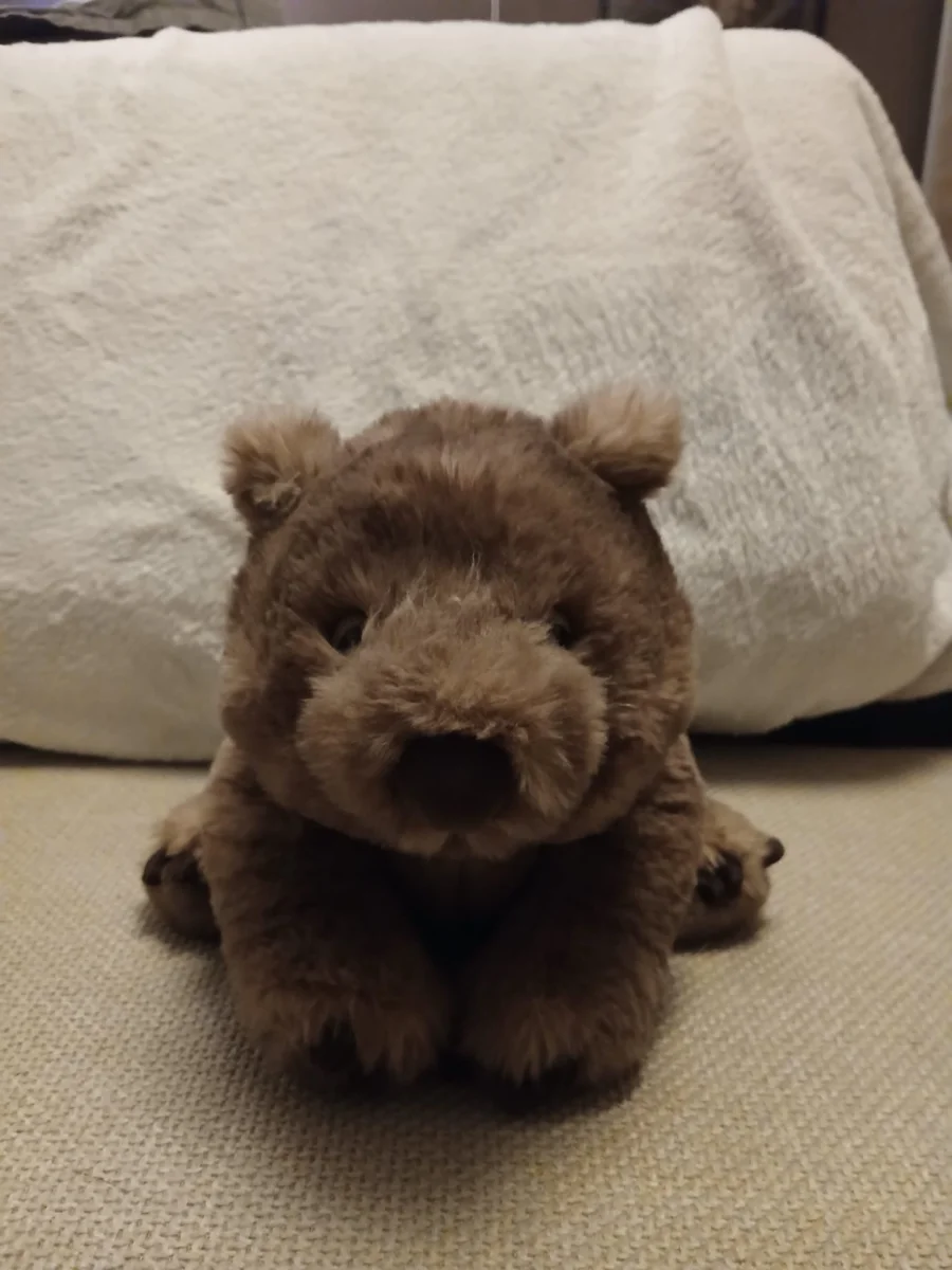 Front - Wonda Wombat photo by Cuddleplushie1