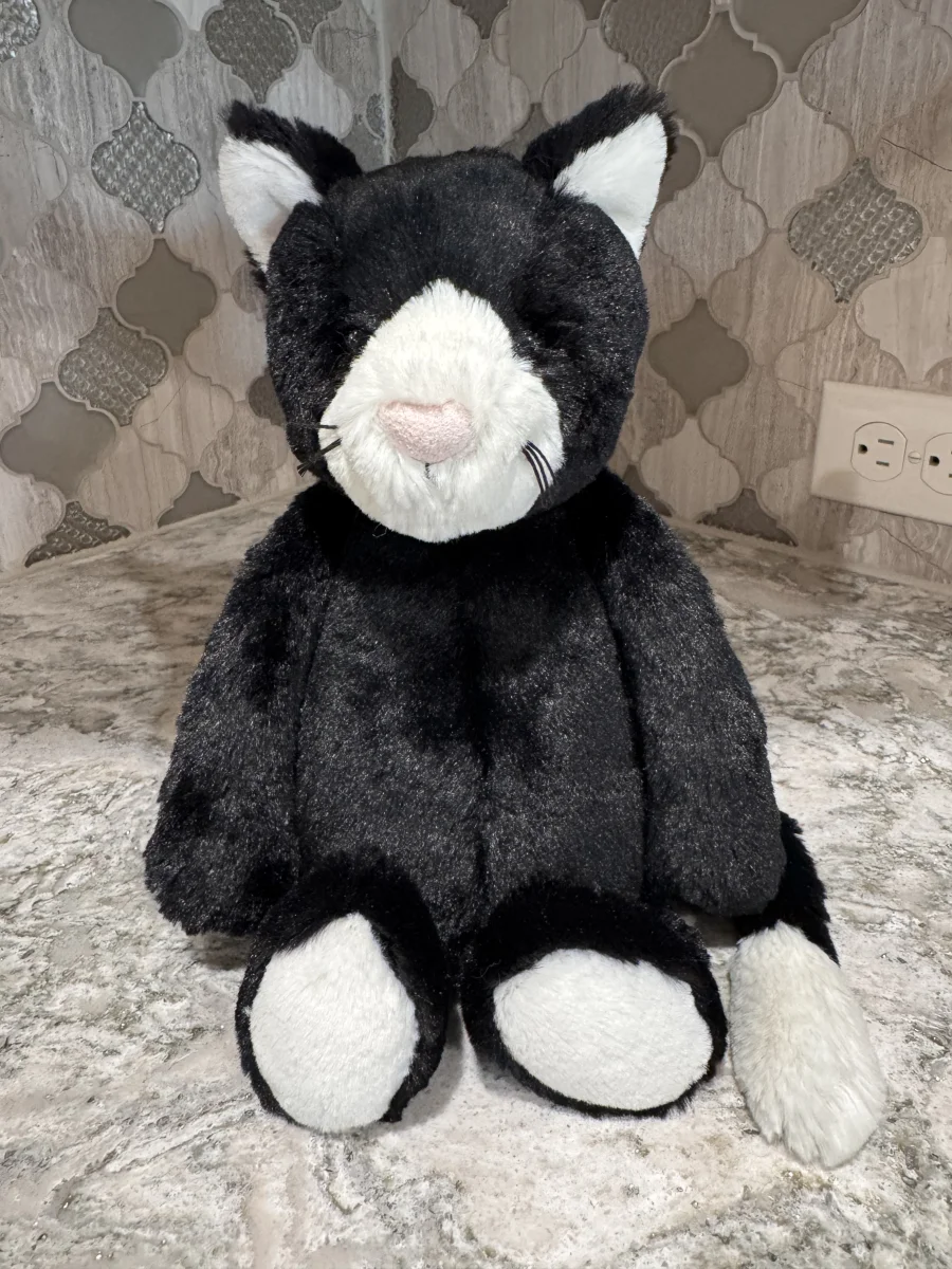 Front - Bashful Black & White Kitten - Medium photo by SnowLeopard821