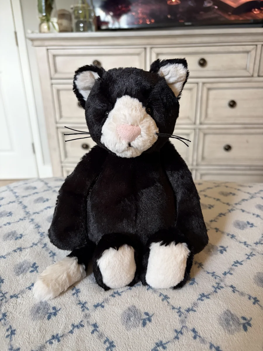 Front - Bashful Black & White Kitten - Medium photo by Stephmarie207