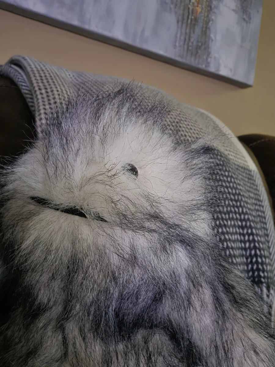 Lifestyle - Bretti Yeti photo by KaraMarchman