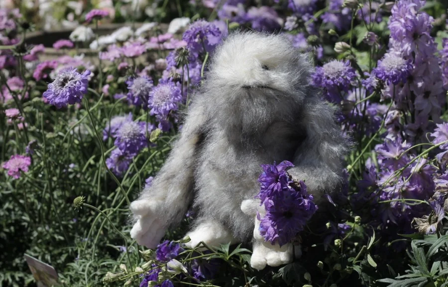 Front - Bretti Yeti photo by lottyslittlejoys