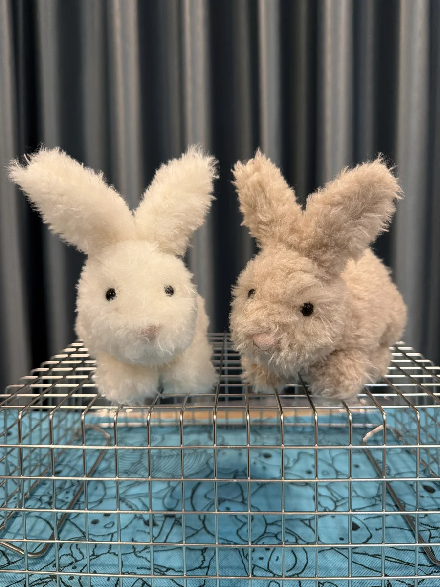 Lifestyle - Hoppity Bunny Beige photo by BunnyBPatt