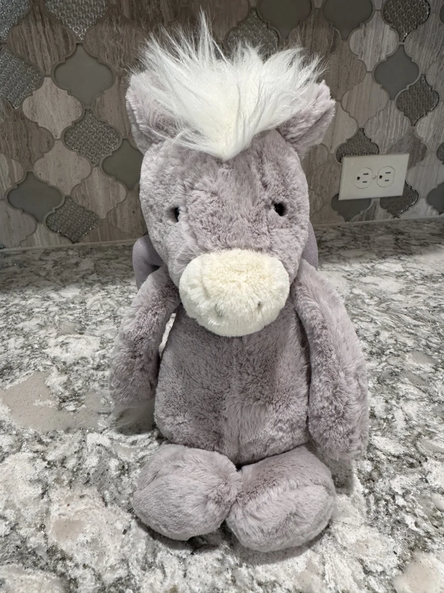 Front - Bashful Pegasus photo by SnowLeopard821