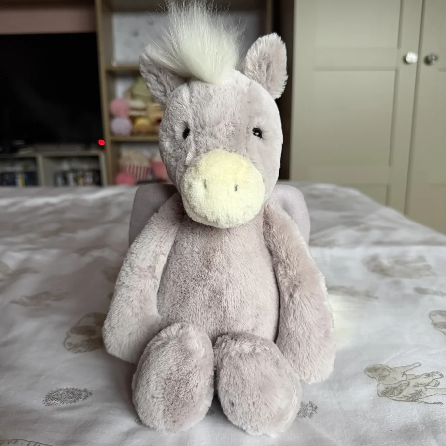 Front - Bashful Pegasus photo by Rach01