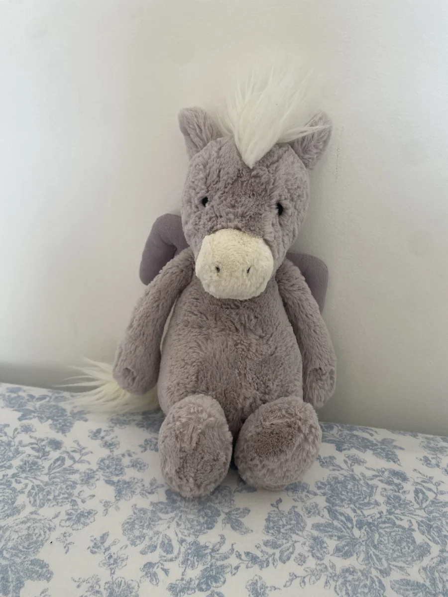 Front - Bashful Pegasus photo by JellyByRaee_11