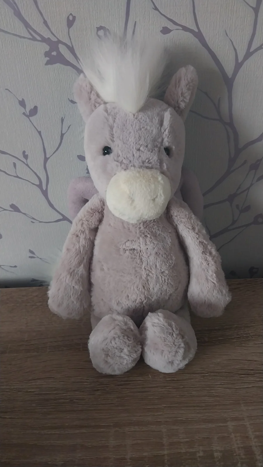 Front - Bashful Pegasus photo by Hope_Collectablez
