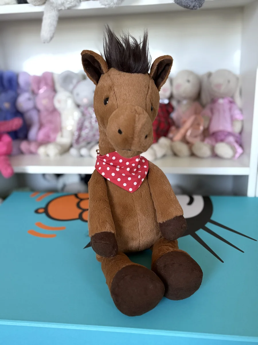 Front - Orson Horse photo by jojokitty