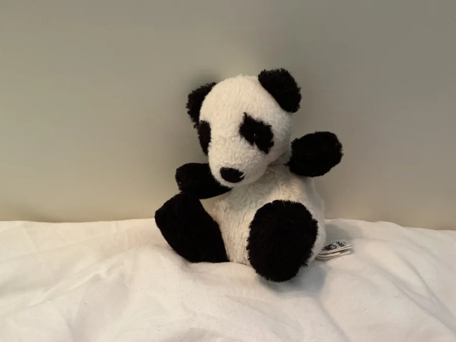 Front - Poppet Panda - Little photo by Jellys2015
