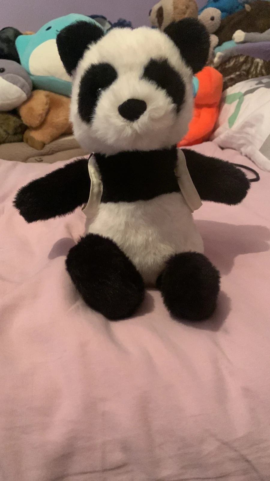 Front - Backpack Panda photo by Emilysloth_17