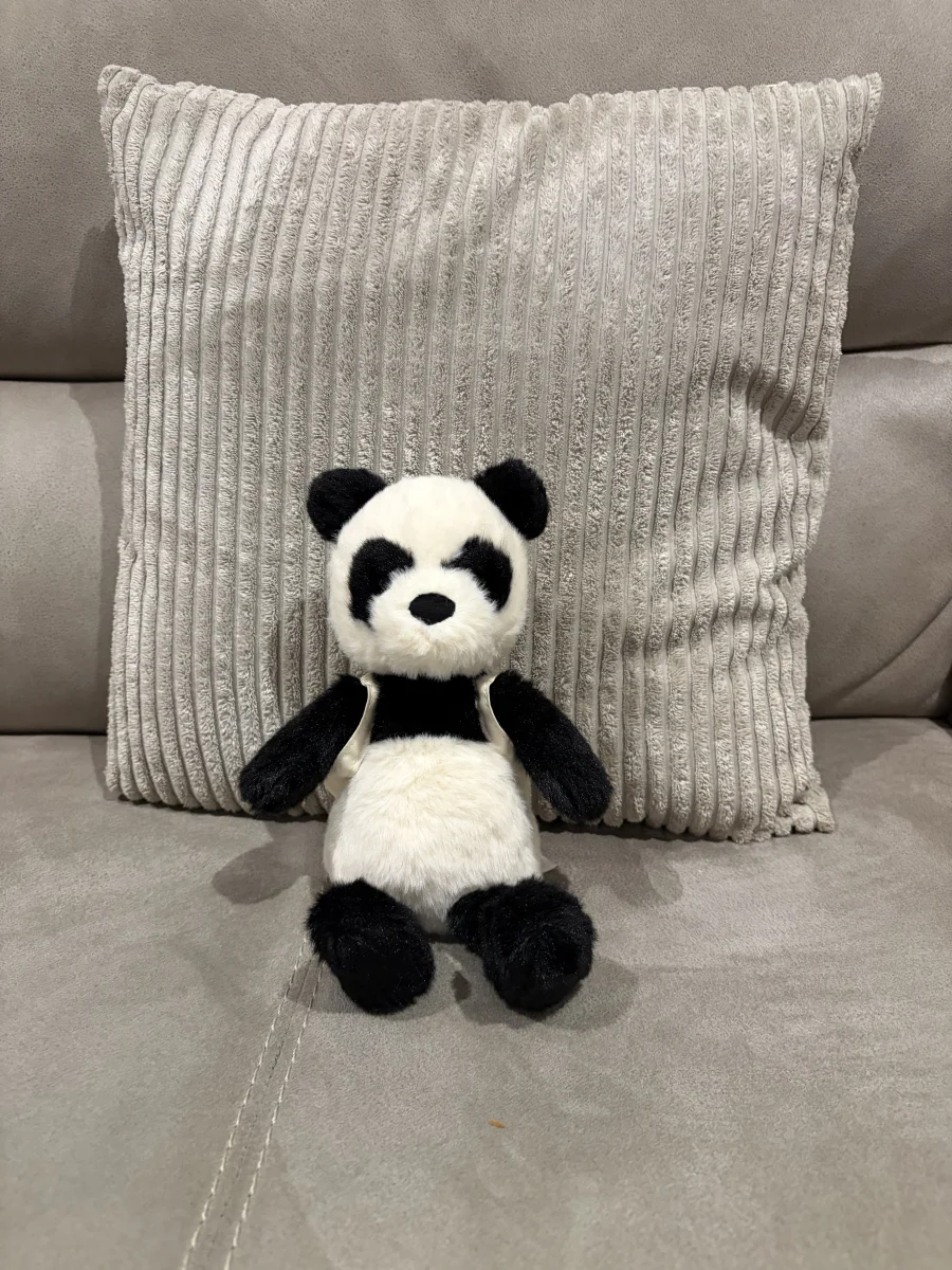 Front - Backpack Panda photo by Seni113