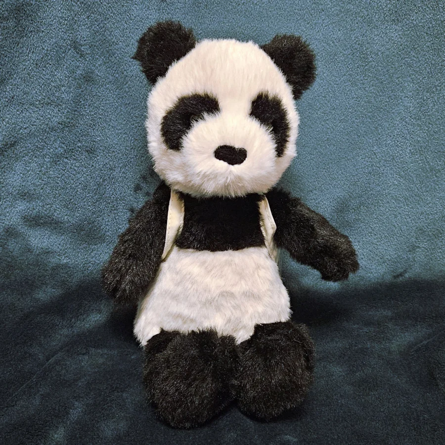 Front - Backpack Panda photo by minnievan