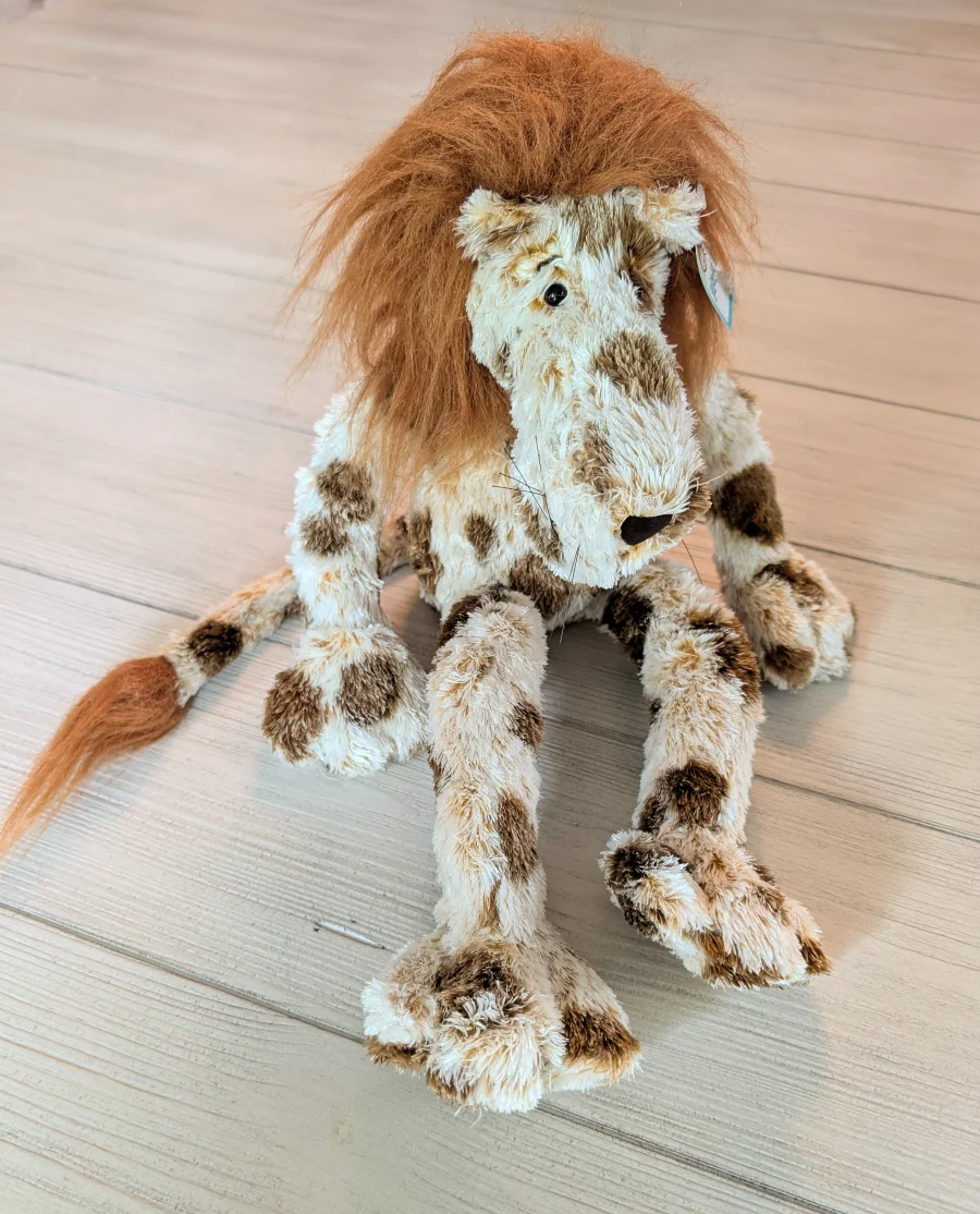 Front - Zany Lion - Large photo by MidnightCereal