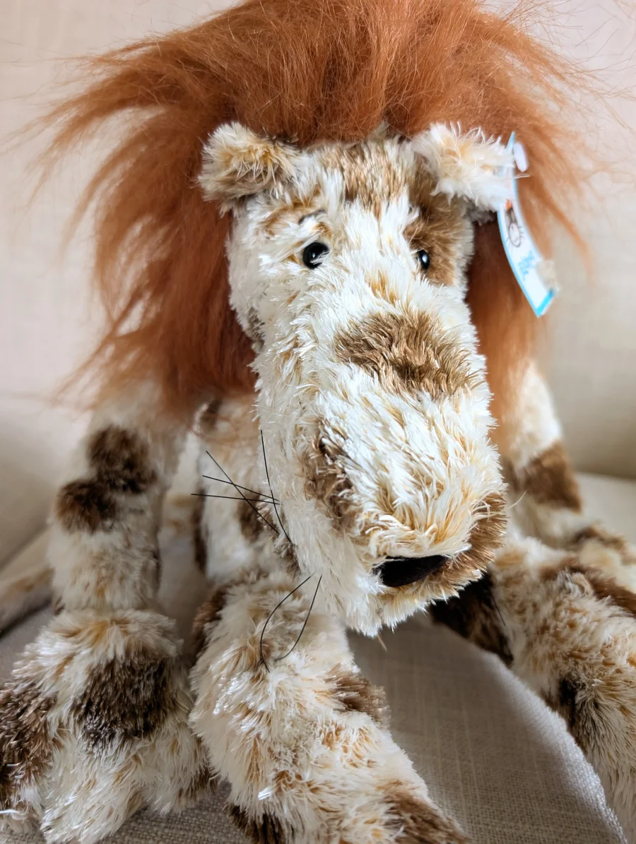 Front - Zany Lion - Large photo by MidnightCereal