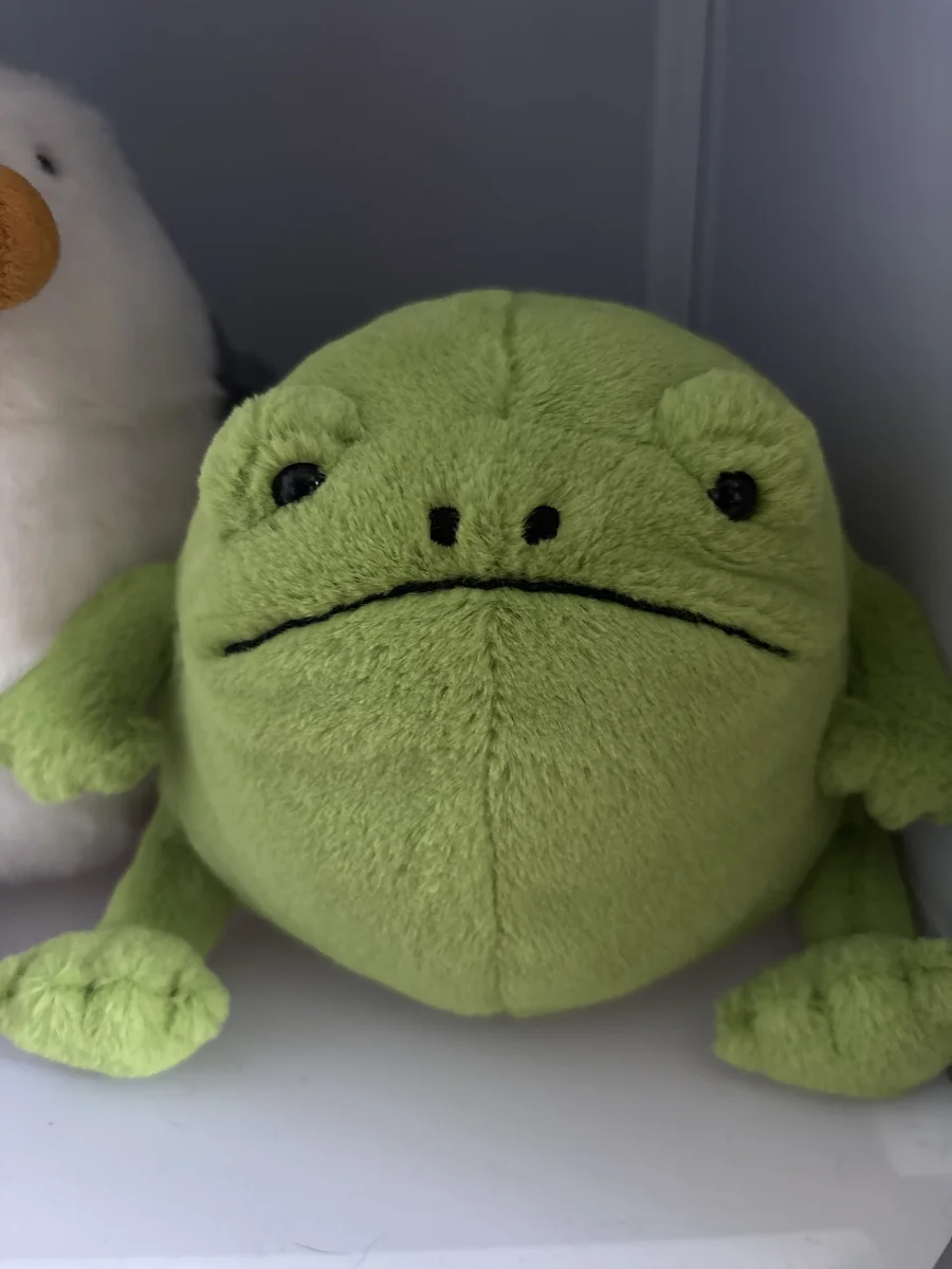 Front - Ricky Rain Frog photo by caljacobs