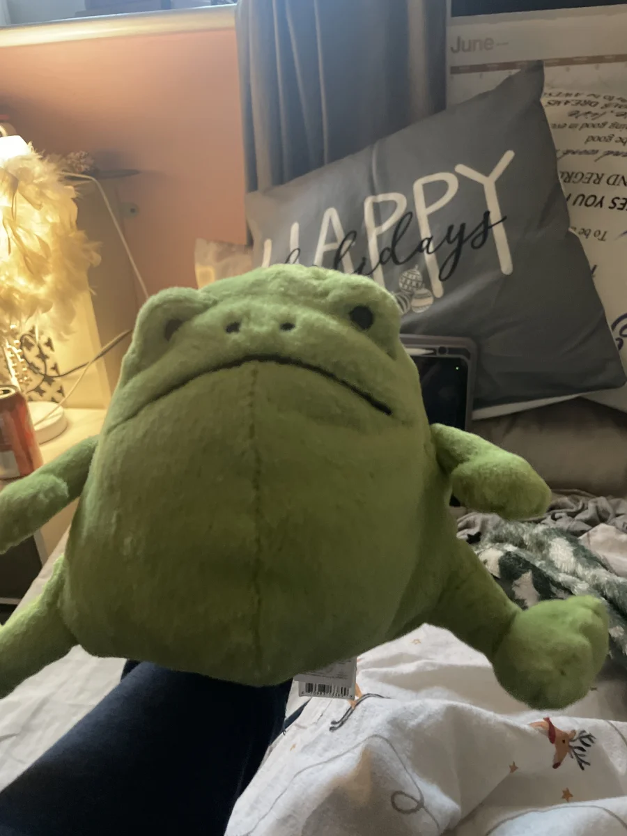 Front - Ricky Rain Frog photo by Pips215
