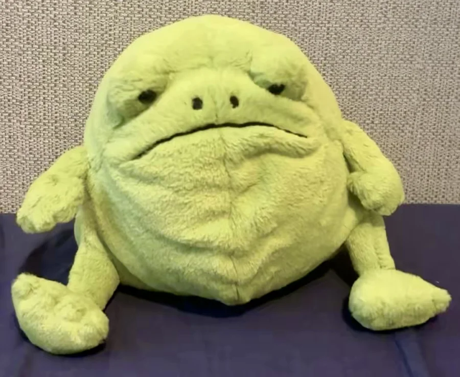 Front - Ricky Rain Frog photo by emmerlyh