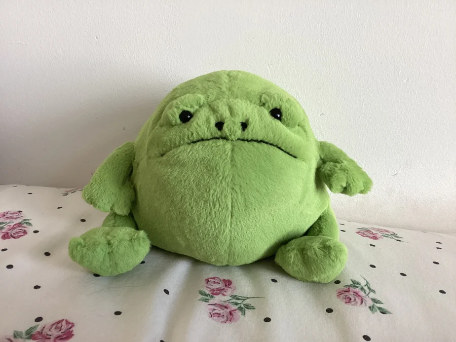 Front - Ricky Rain Frog photo by HarrietKate