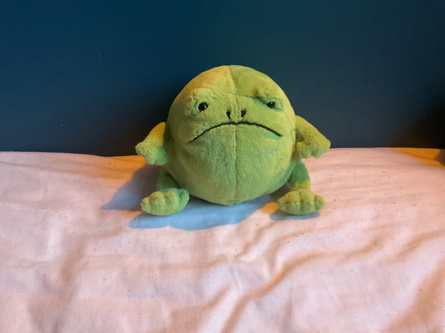 Front - Ricky Rain Frog photo by JELLYCAT102