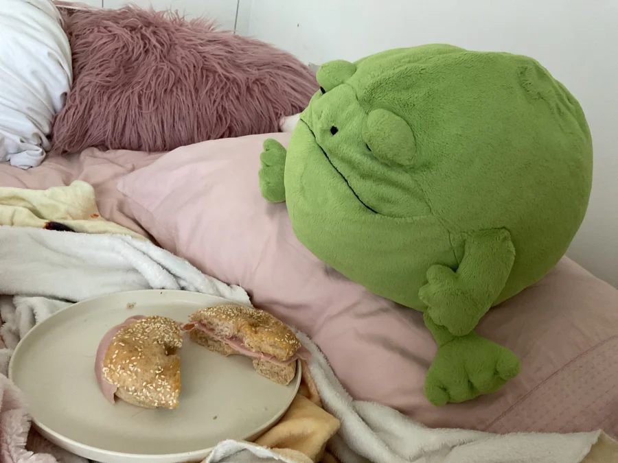 Lifestyle - Ricky Rain Frog photo by JellyJackCat