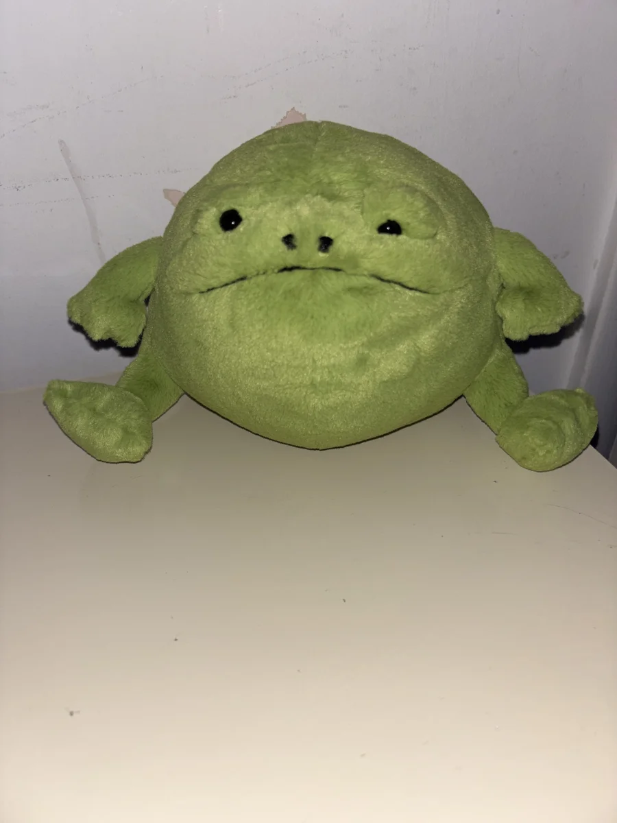 Front - Ricky Rain Frog photo by MommyNCharJelly