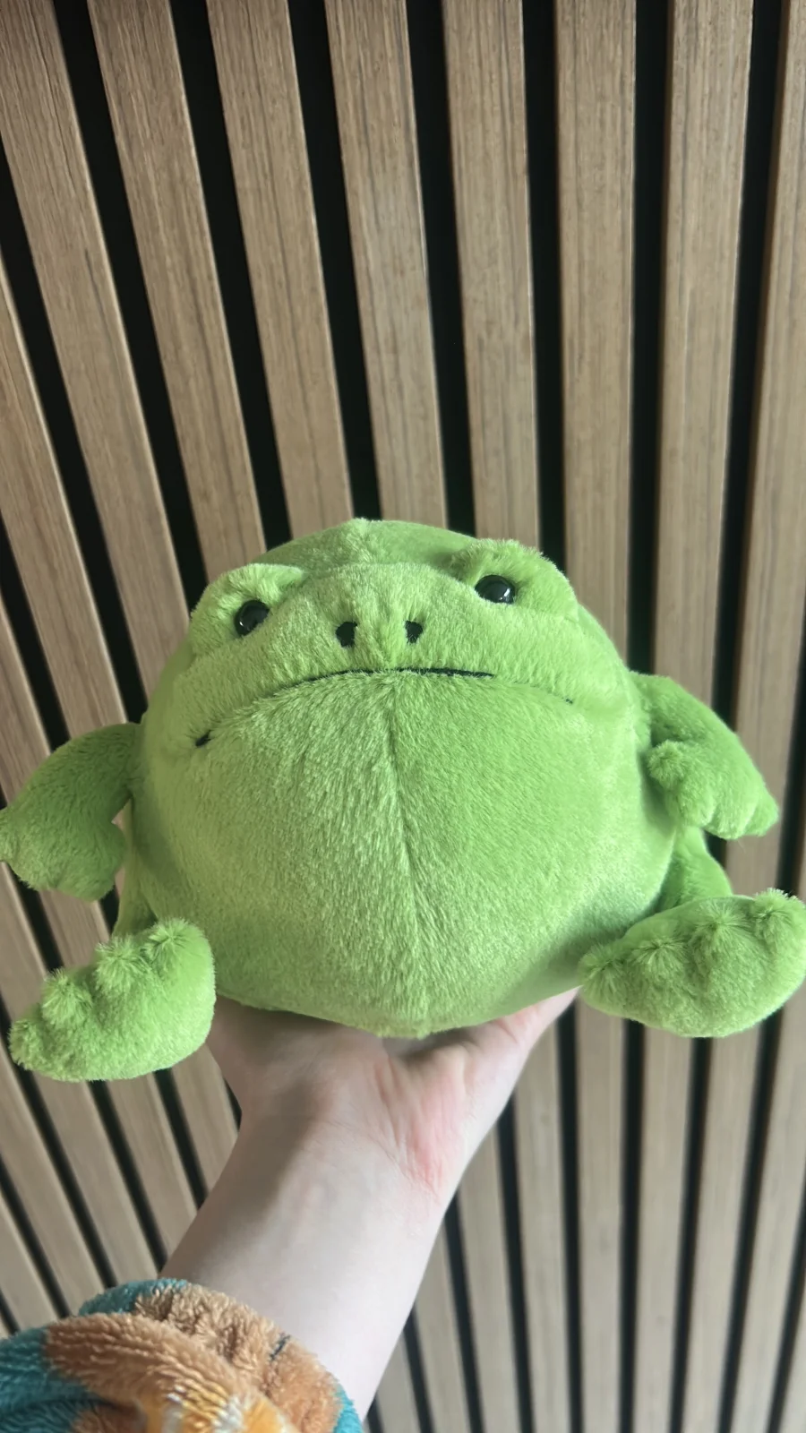 Front - Ricky Rain Frog photo by Jelly_l0ver7