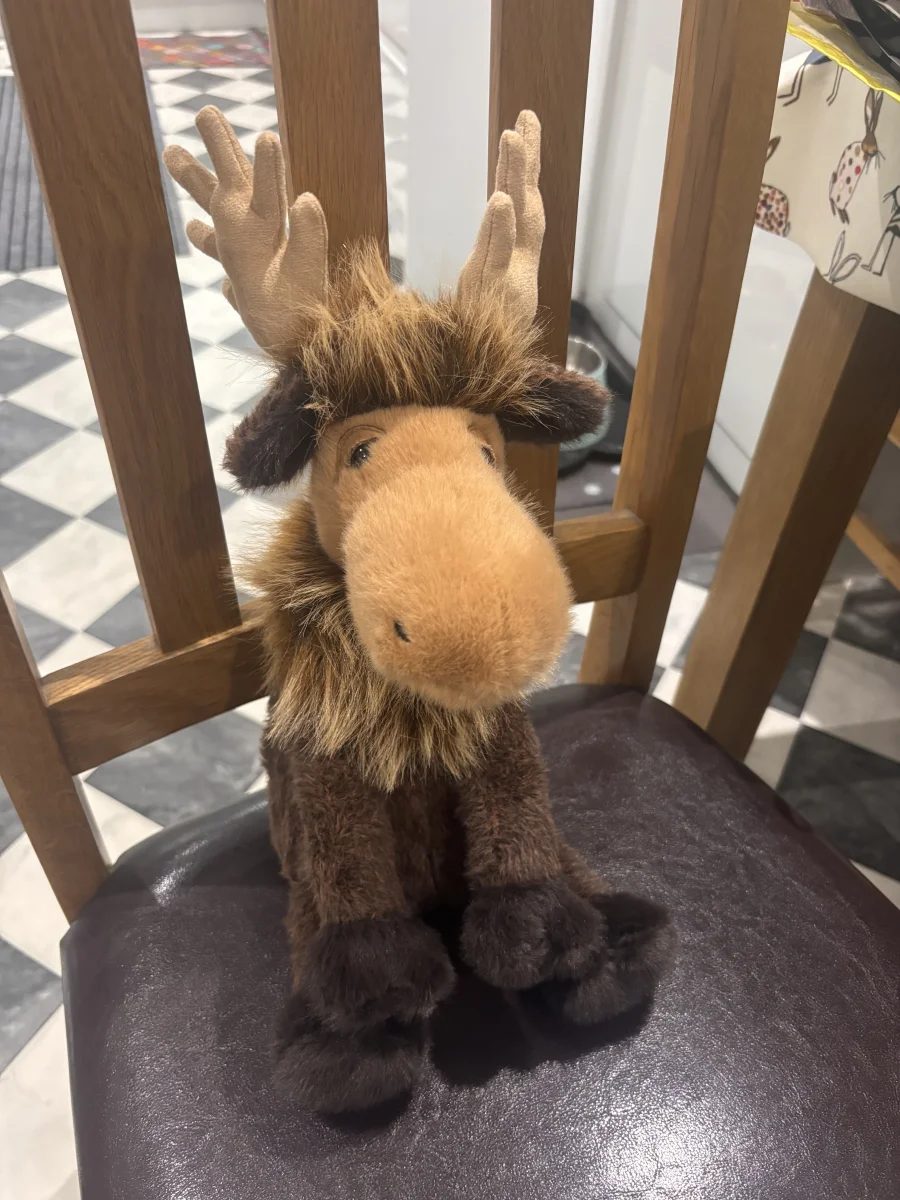 Front - Birchly Moose photo by CharlieP