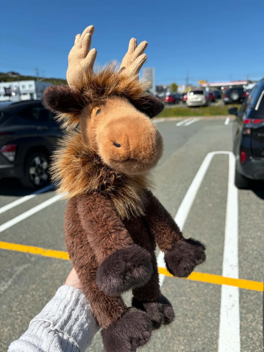 Front - Birchly Moose photo by YorkshireLad97