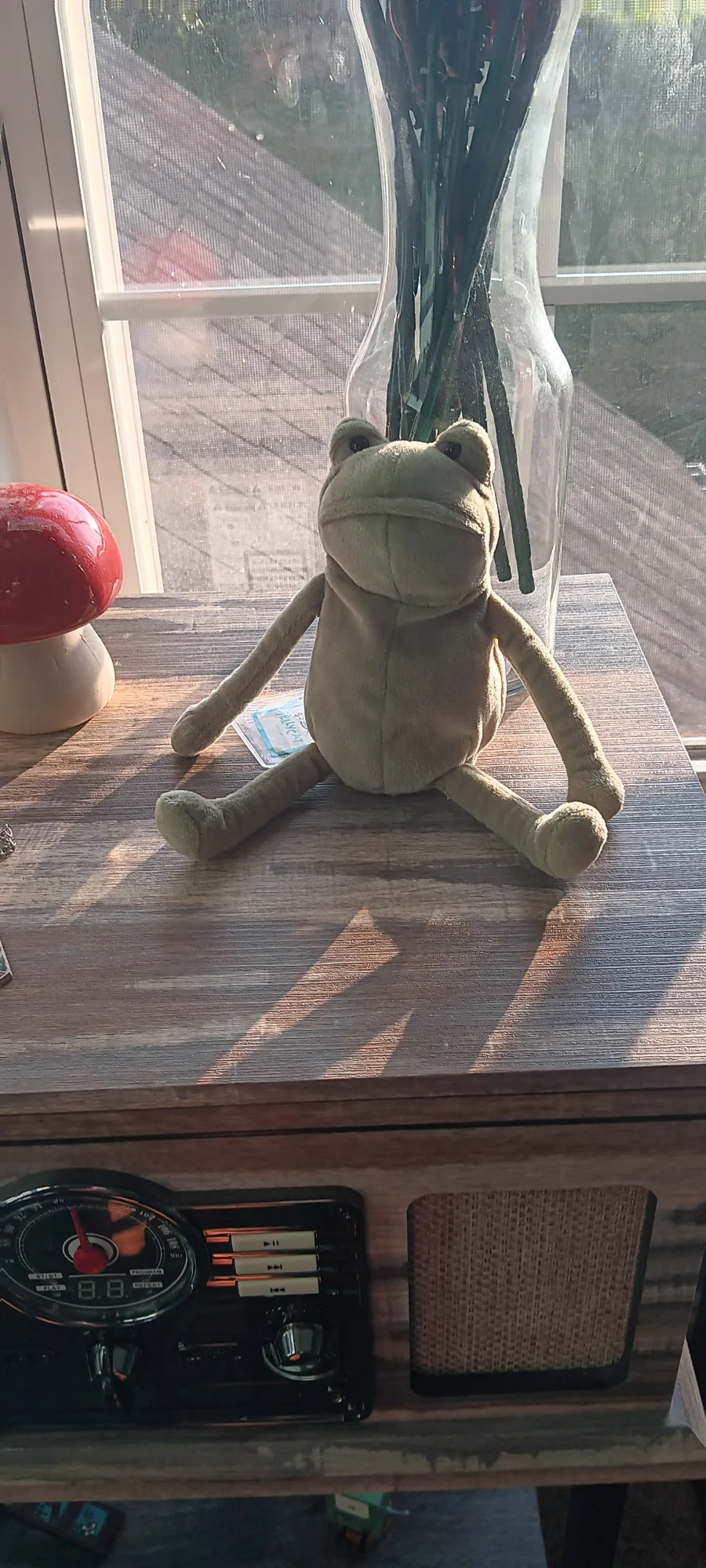 Front - Fergus Frog - Small photo by avacado_17