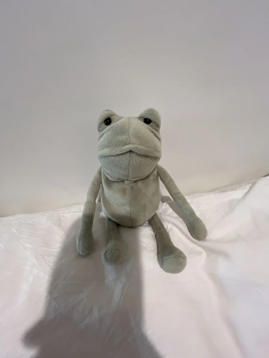 Front - Fergus Frog - Small photo by EmeryR