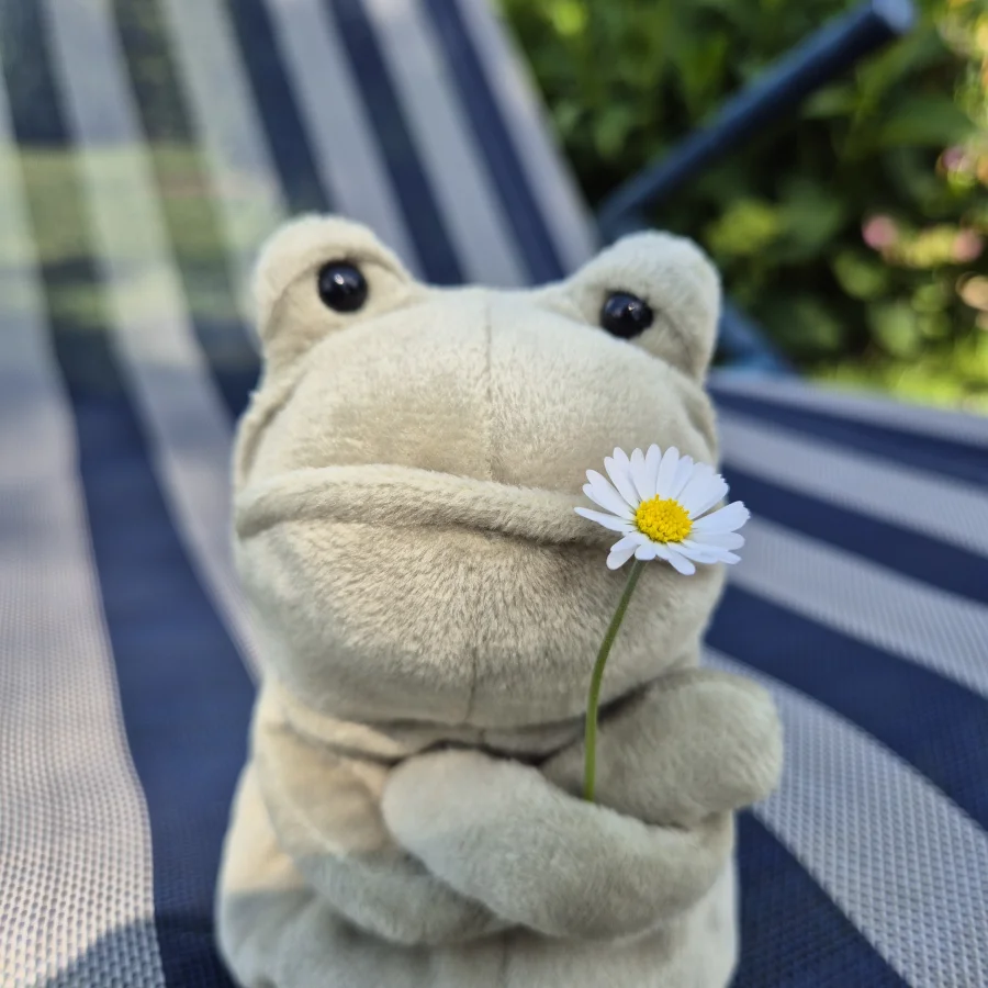 Front - Fergus Frog - Small photo by gelisplush