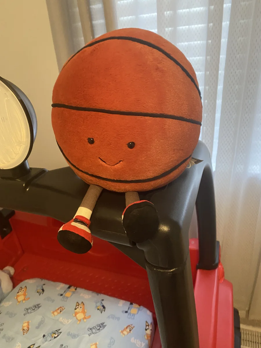 Front - Amuseables Sports Basketball photo by PinkLotus2023