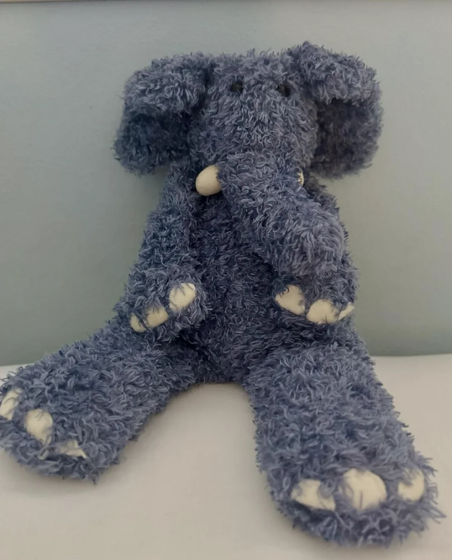 Front - Junglie Bunglie Elephant photo by addiesjellys