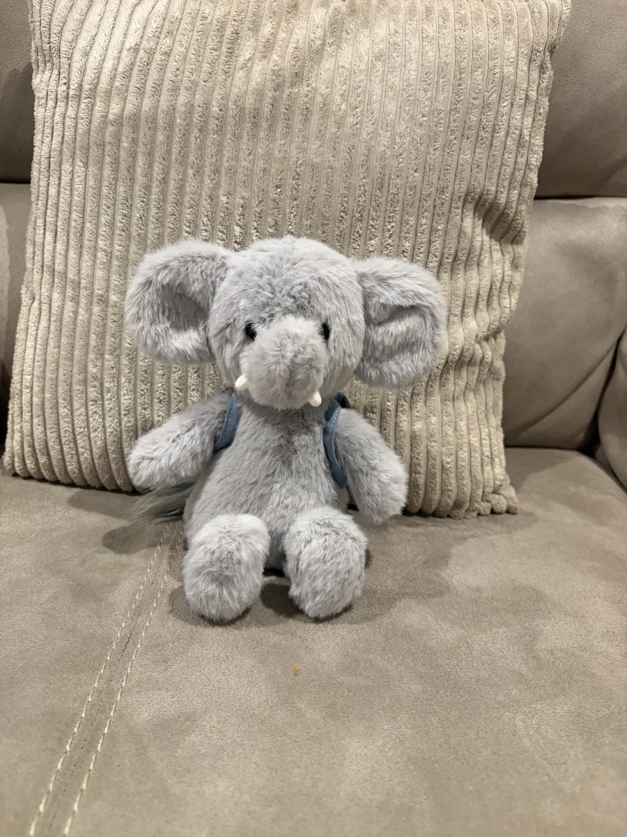 Front - Backpack Elephant photo by Seni113