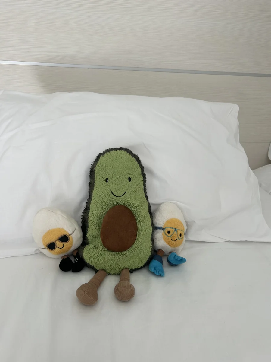 Front - Amuseables Avocado photo by mollie_26
