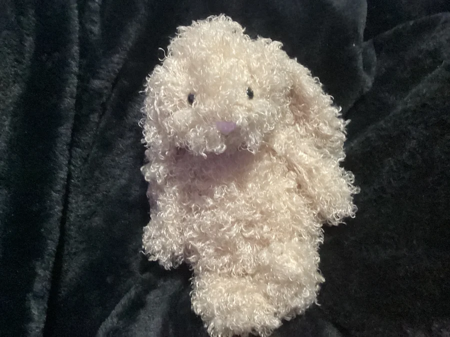Front - Bashful Luxe Bunny Curly photo by Jellybunnys1984